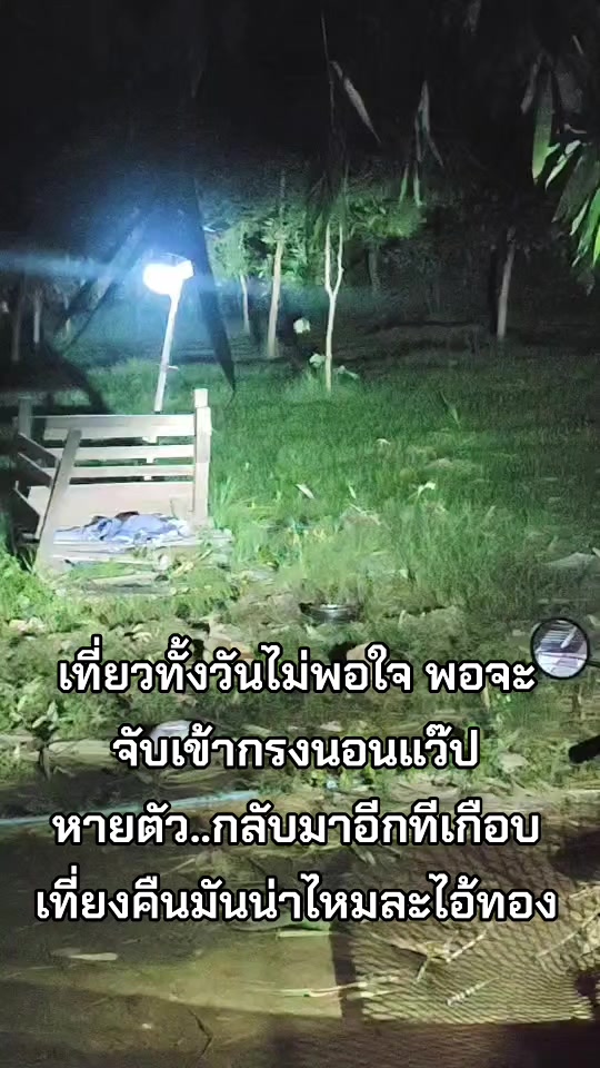 @แป๊ปซี่แมวของฉัน(ช่องใหม่),2