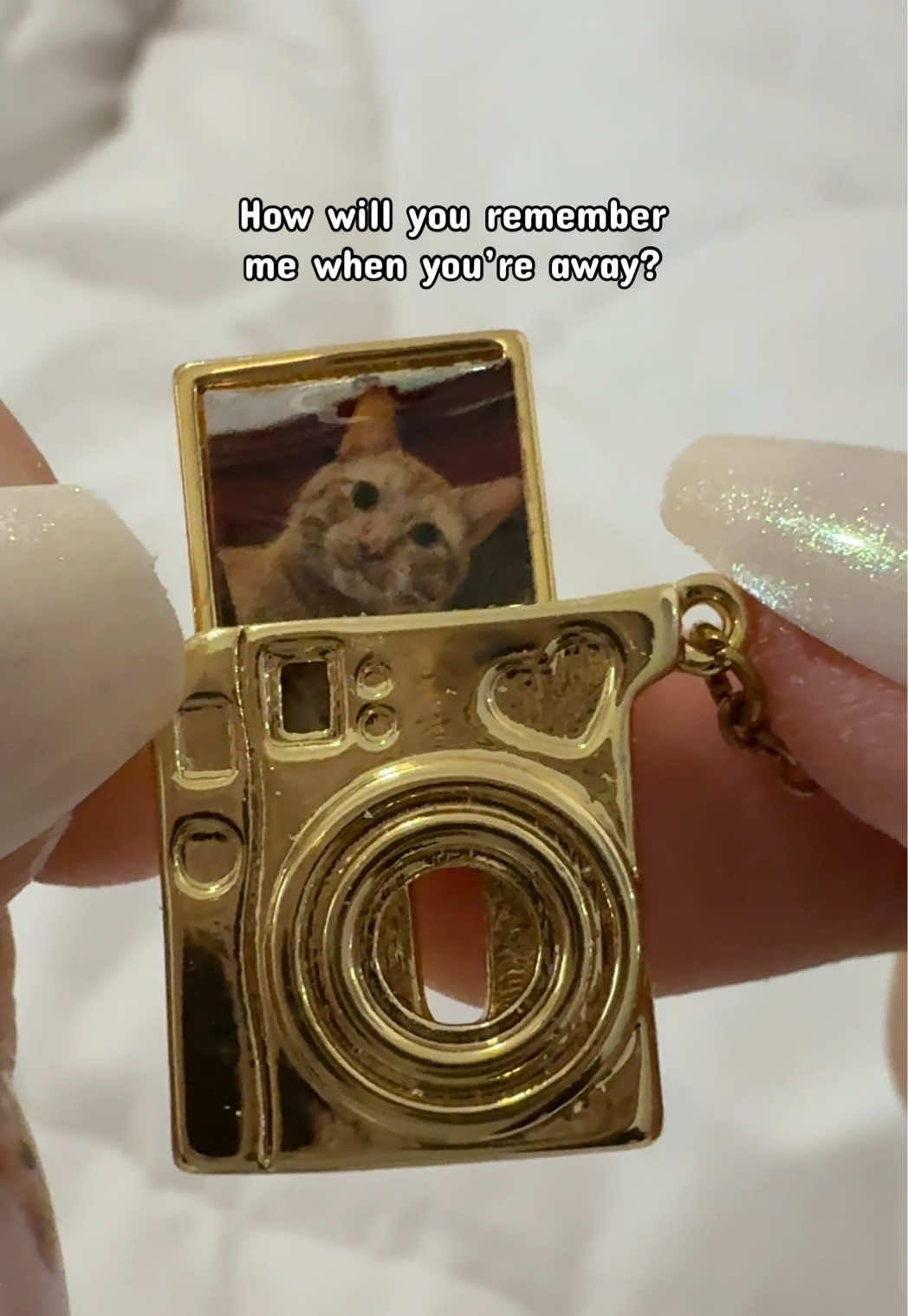 @Sherry 🗺️🐈