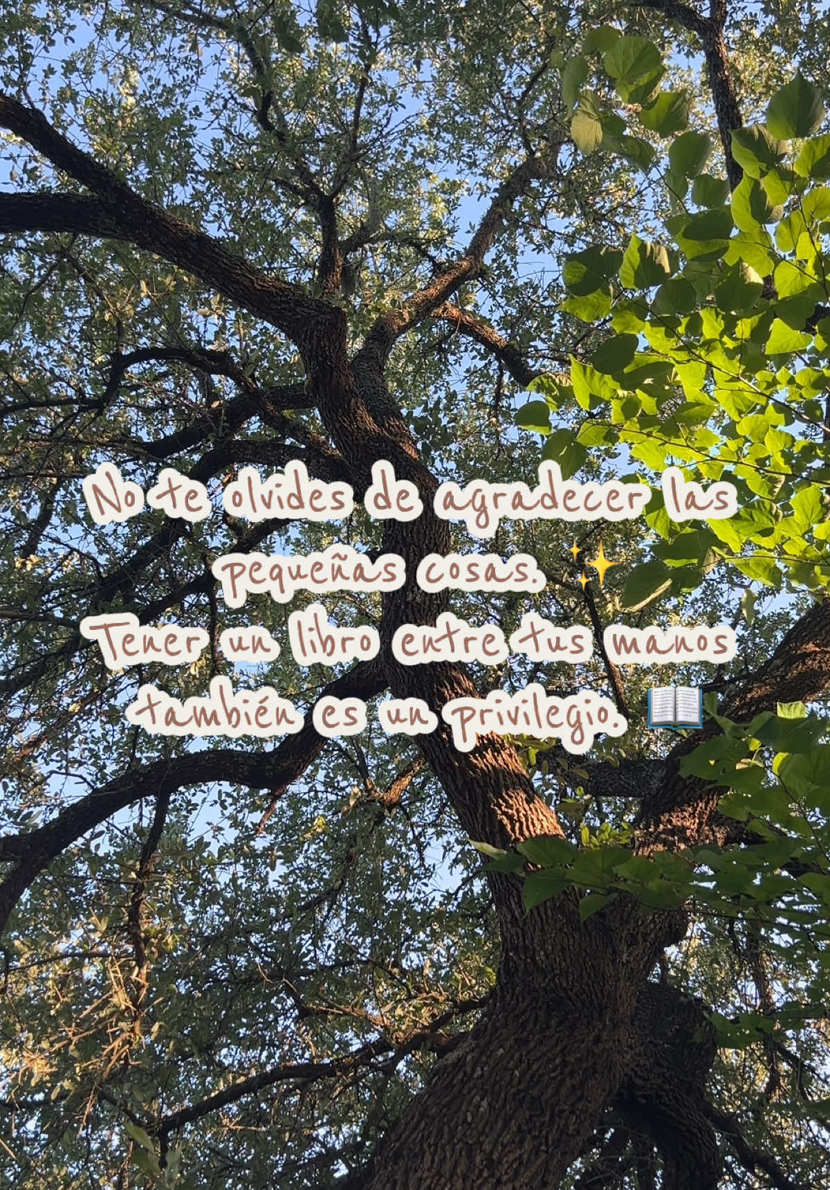 @Yari Serafin 🦋| BookTok 📚