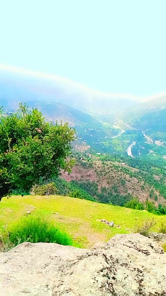 @jahangerkhan523