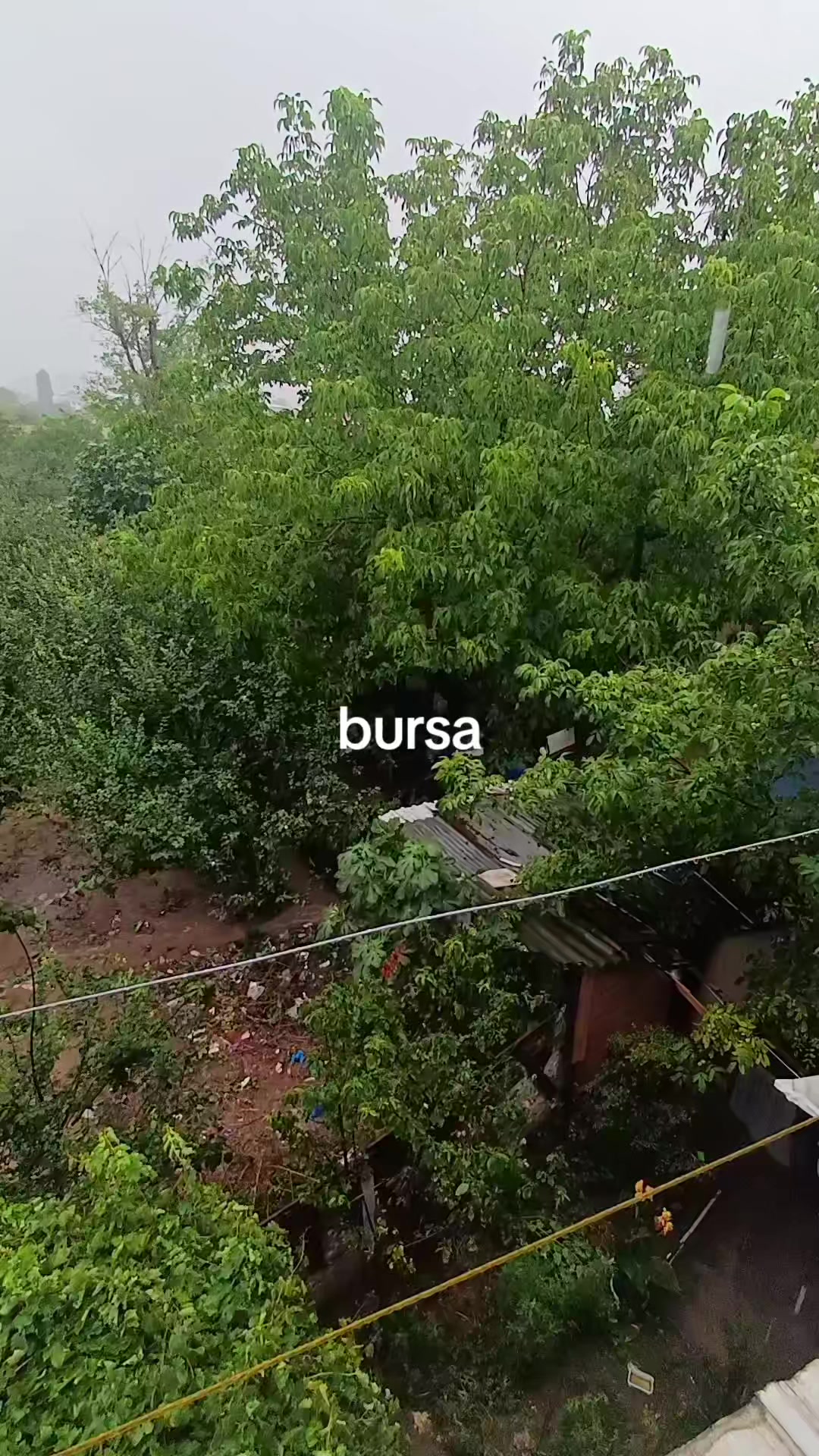 @🦋MAVIŞIM🦋