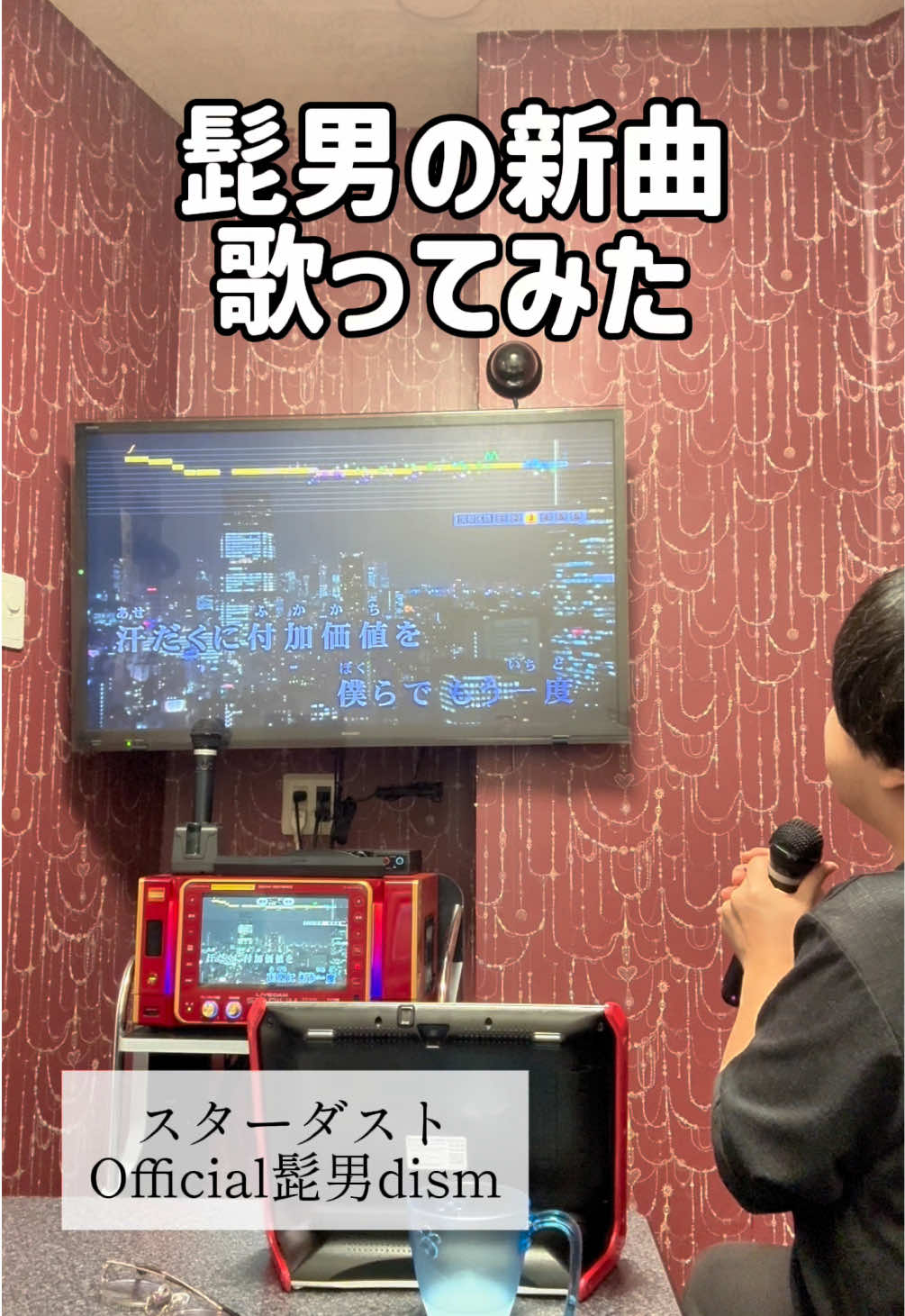@ST【歌ってみた】