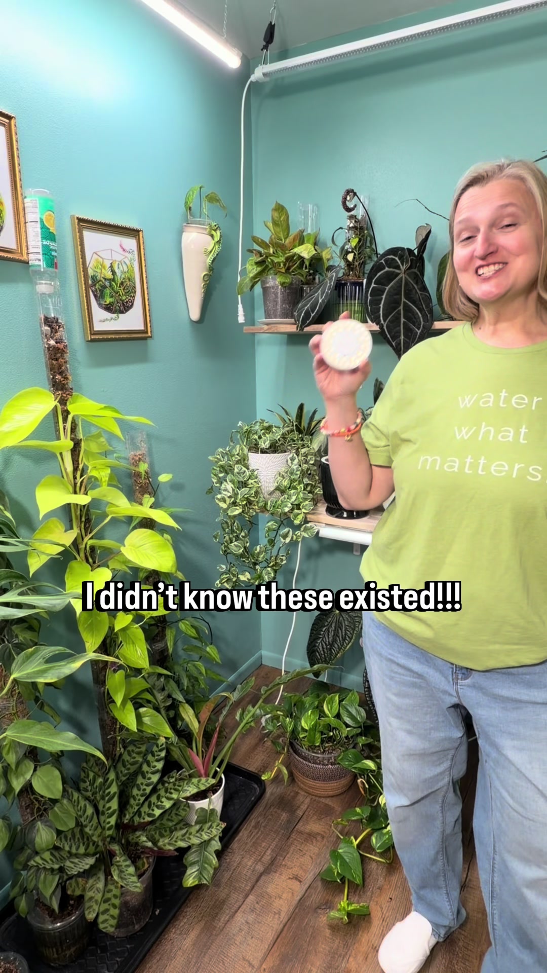 @Pothosiblyaboutplants