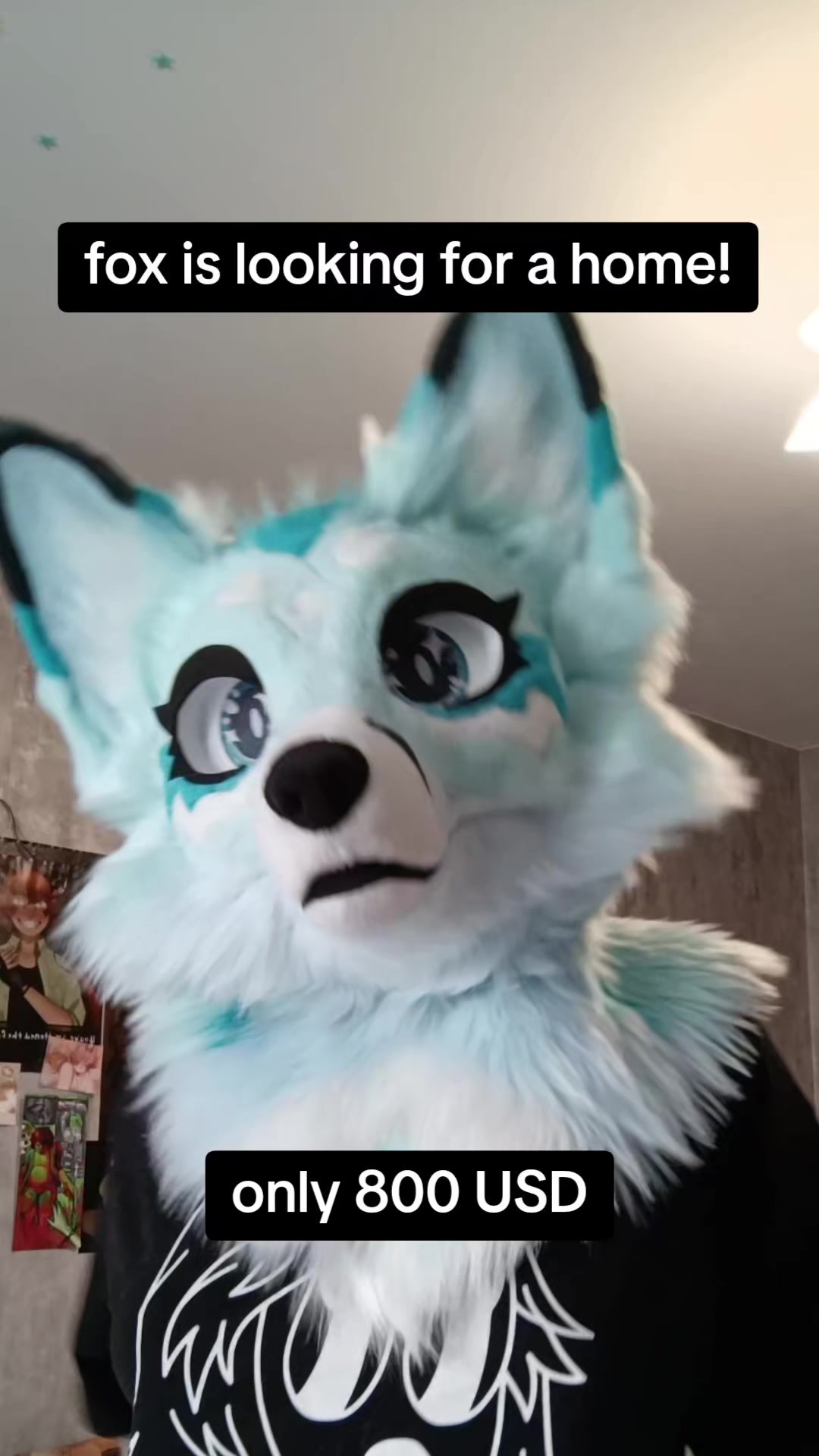 @LeraWolf_workshop