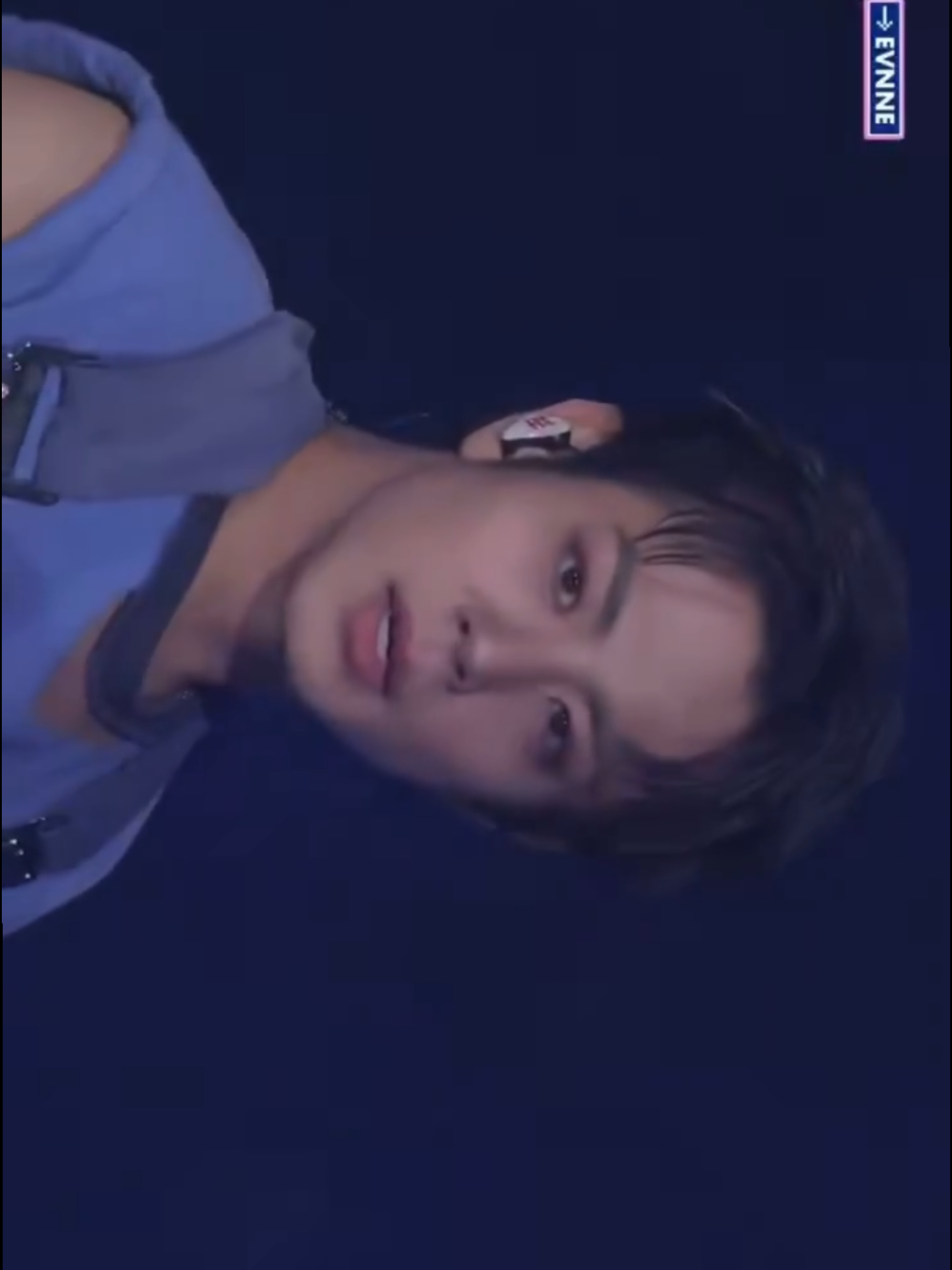 @냥타・ω・✦