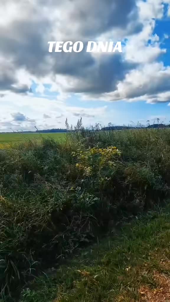 @Marzena🦋🖤🦋