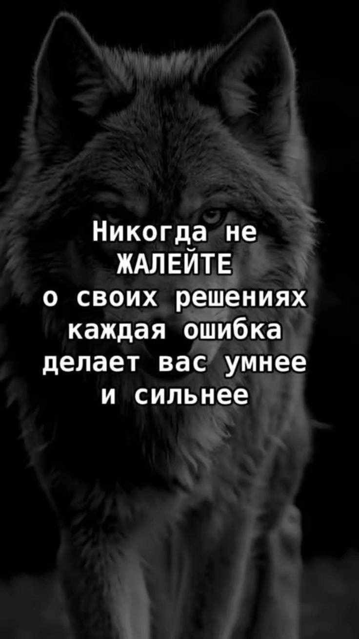 @💫Luna💫