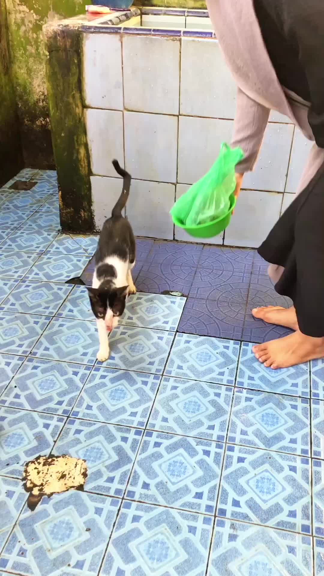 @reha vlog.