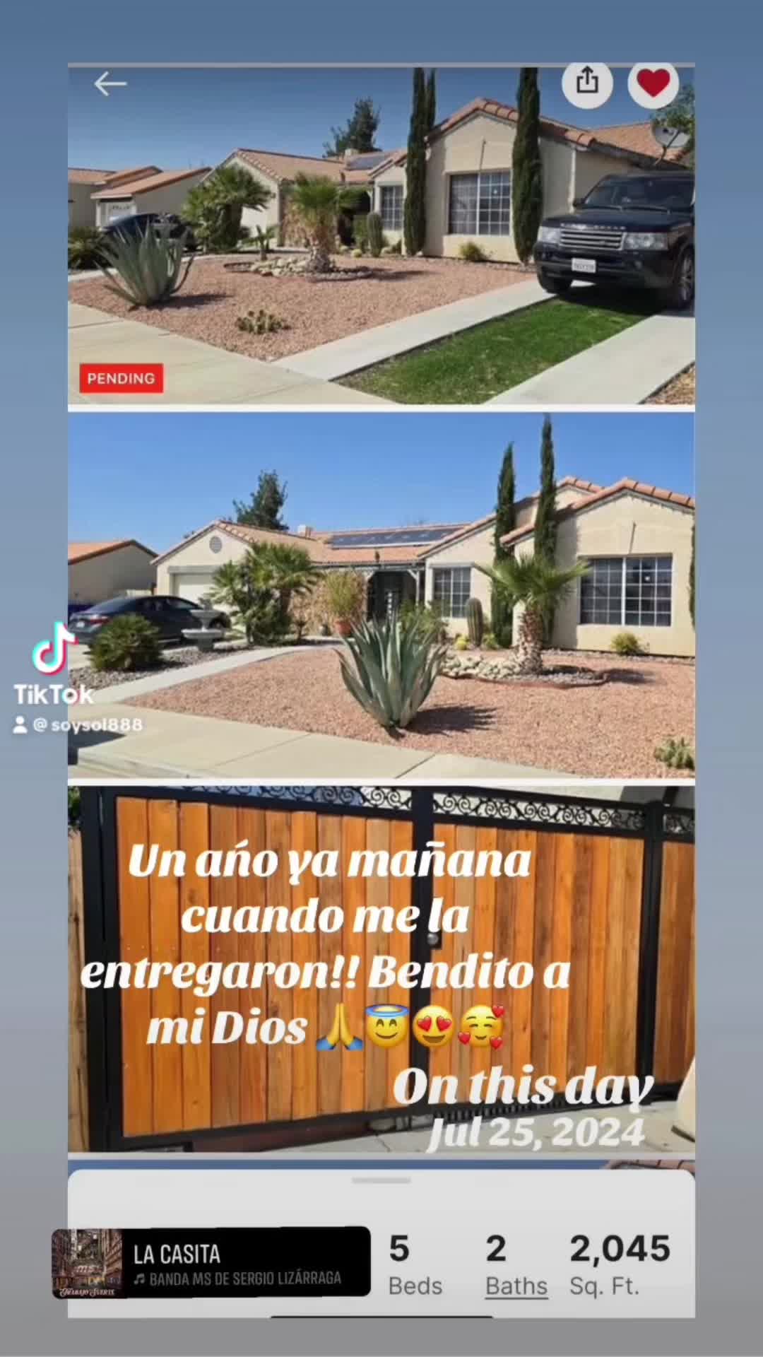 @soyXol888