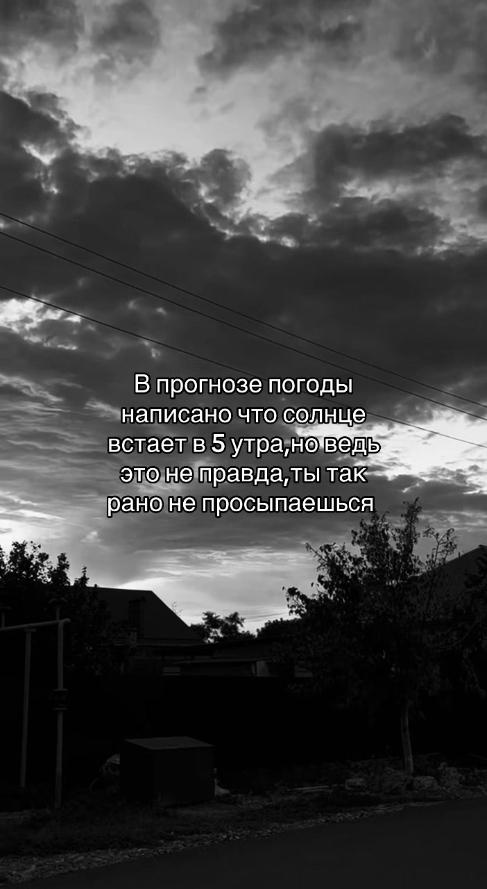 @🦇mindsnaps666🦇