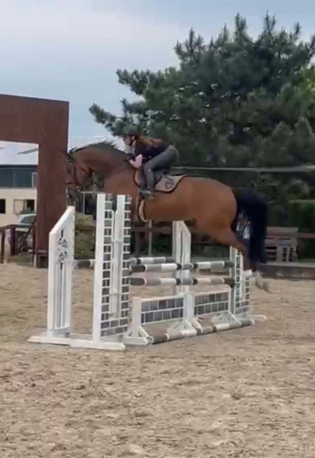 @La.Dolce.Horses