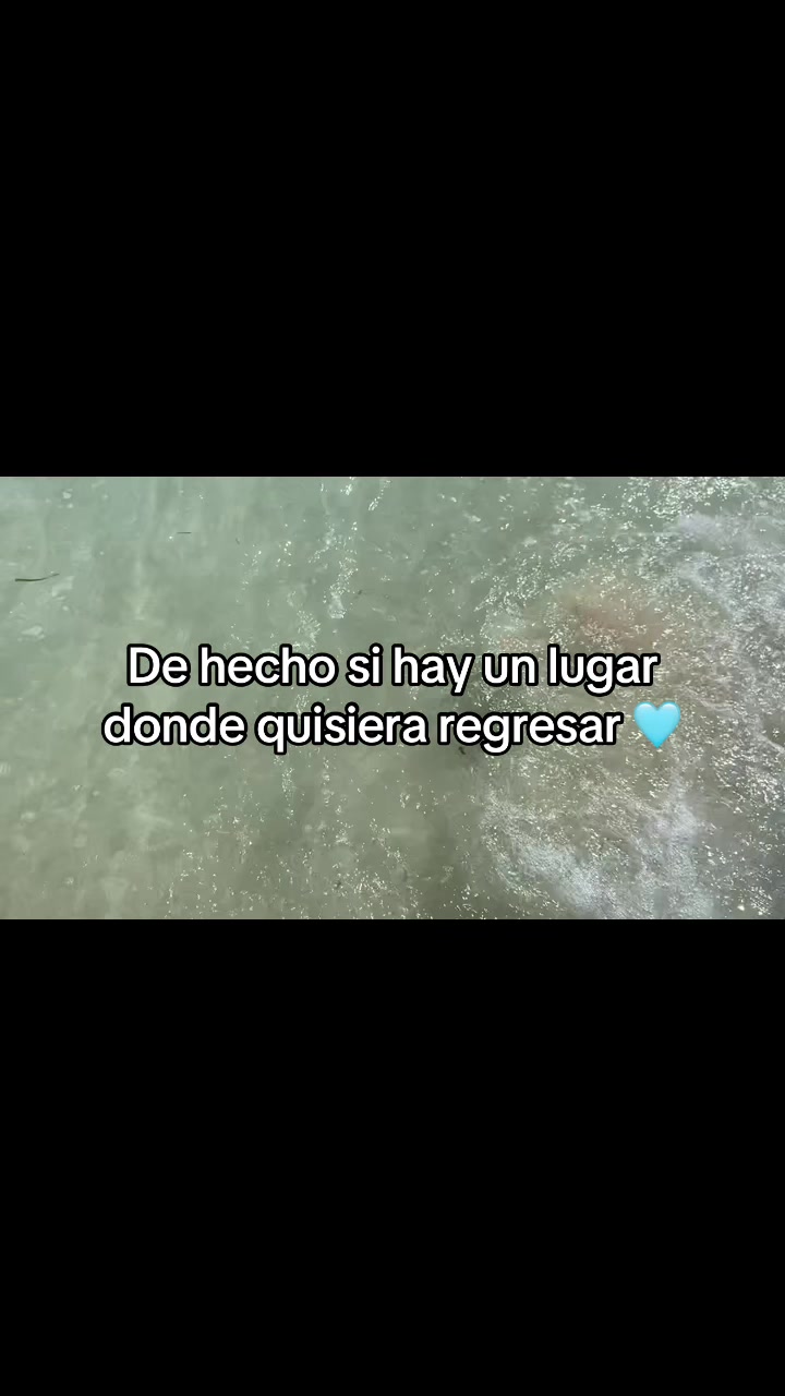 @🌺