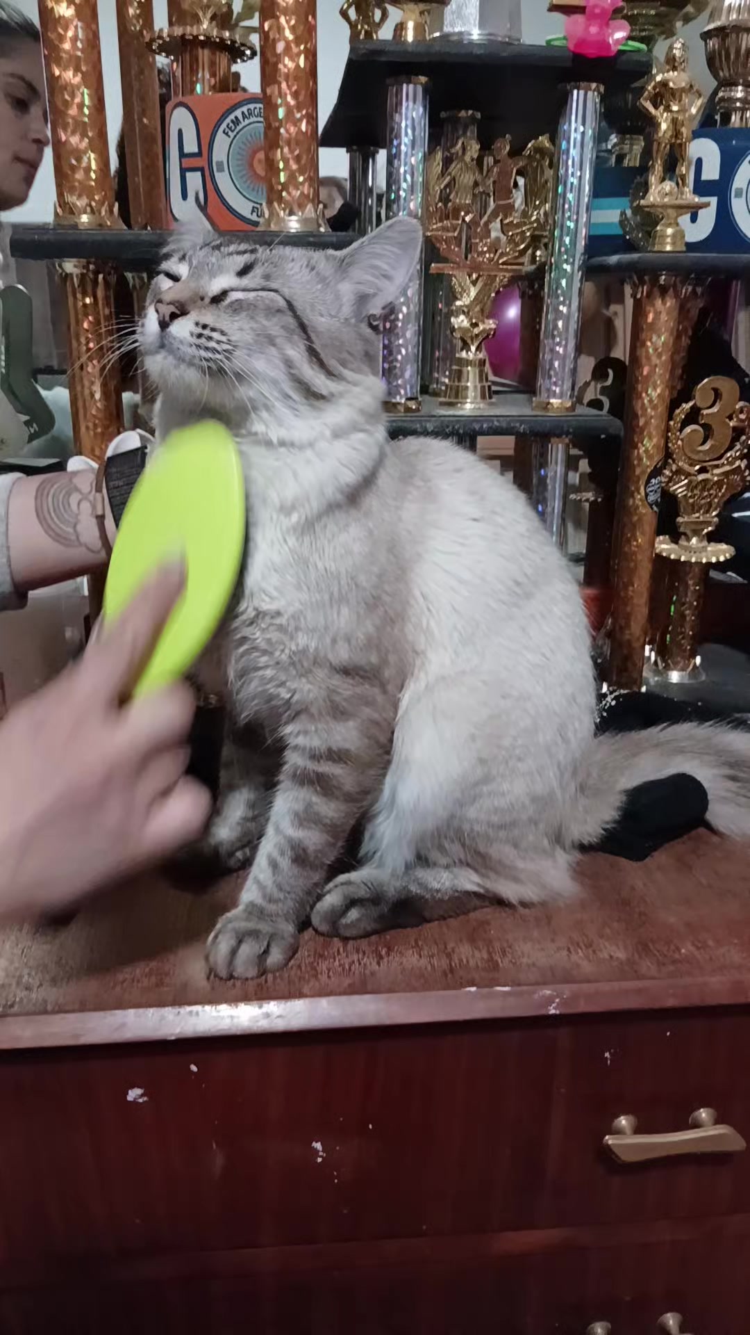 @โ๐ฆ๐๐๐๐ฃ๐12_20๐