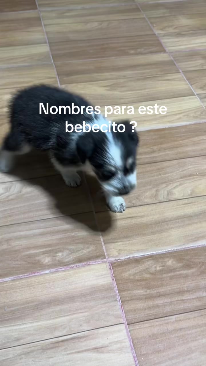 @Alejandra Medina