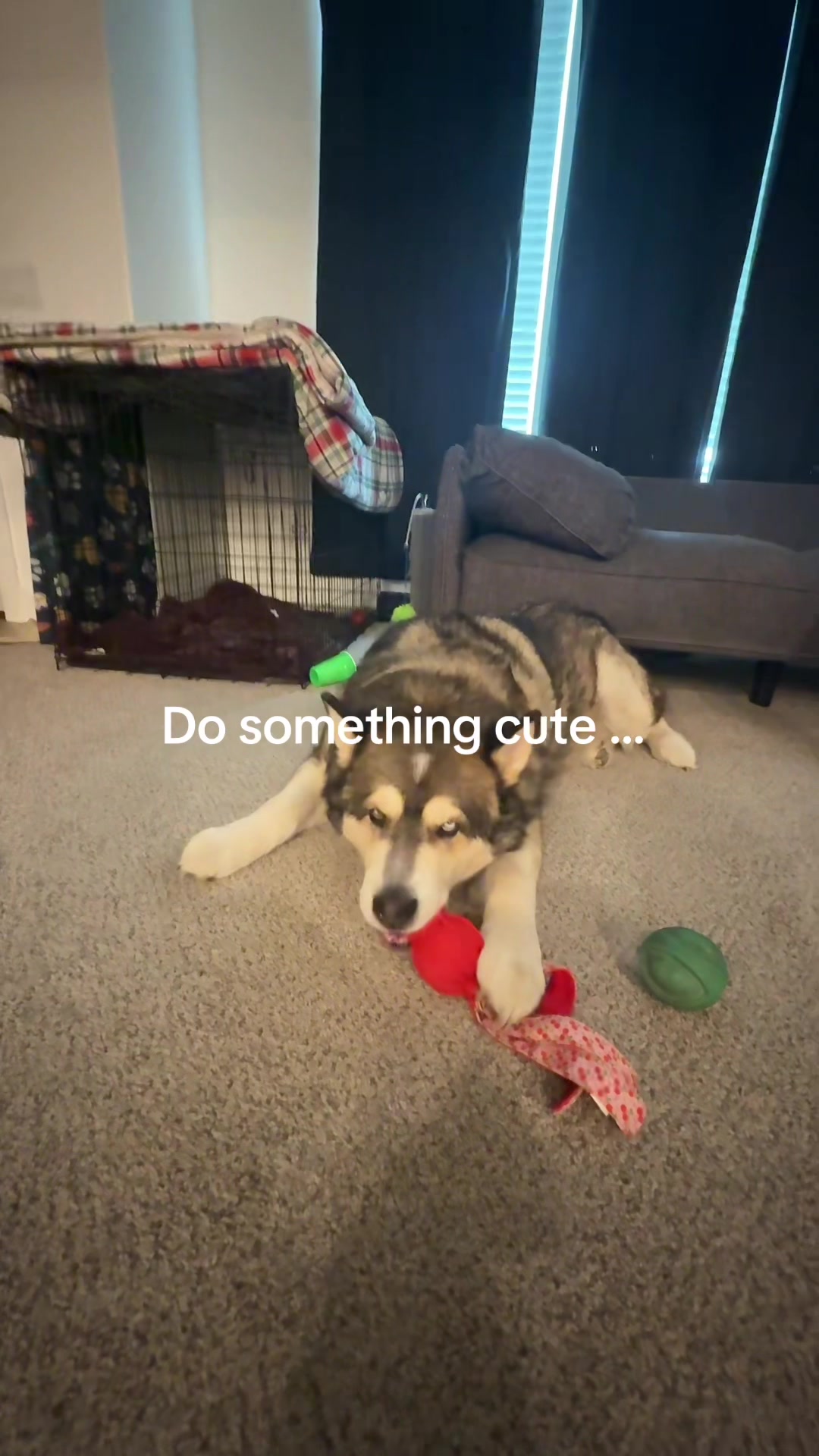 @kodi_1517