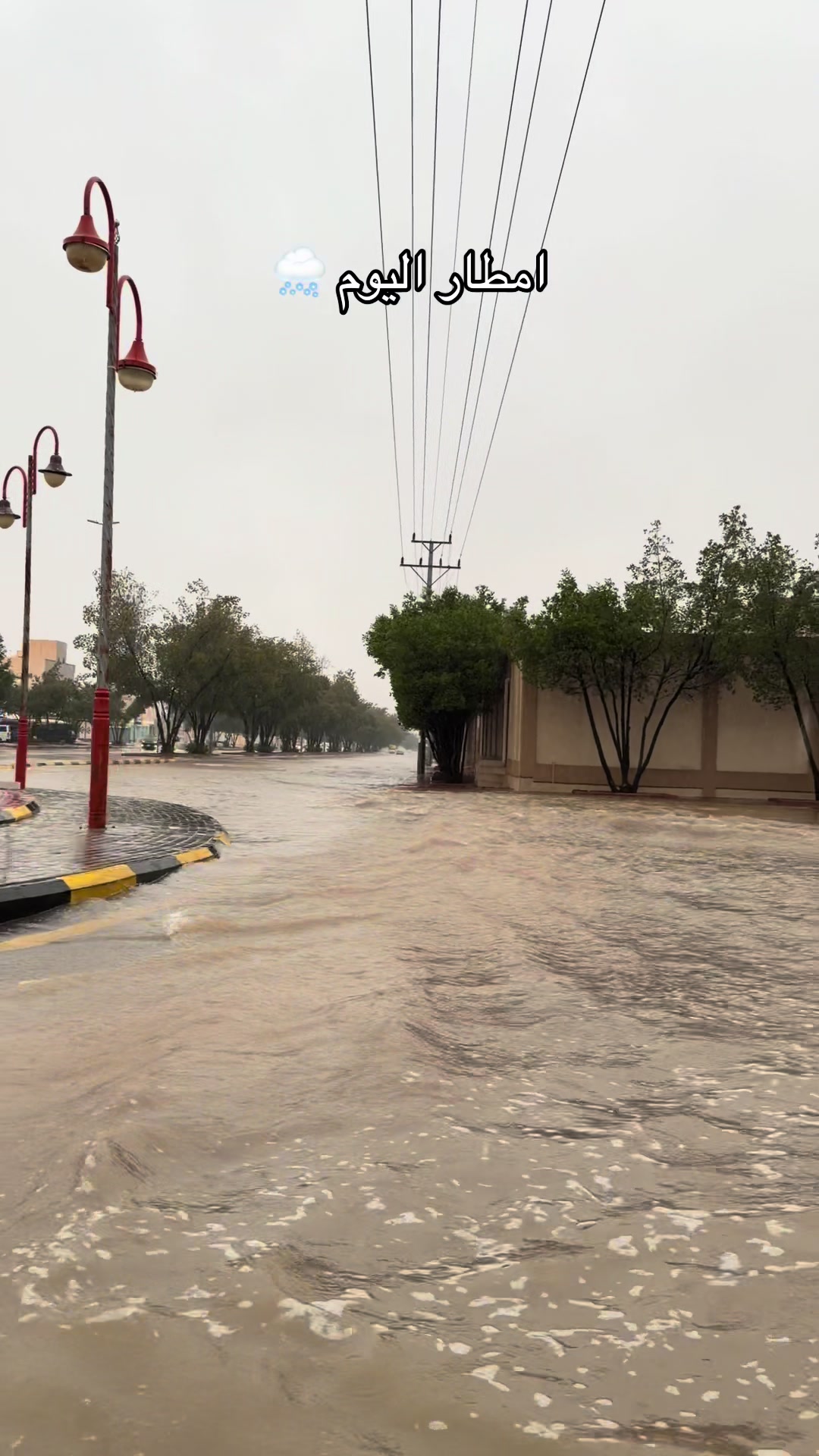 @ترند المجمعة 🌴