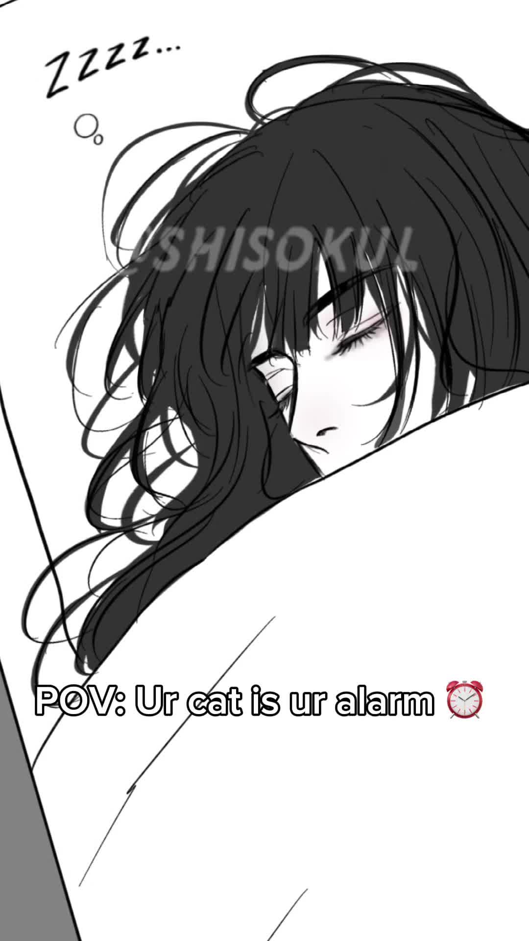 @shisokul