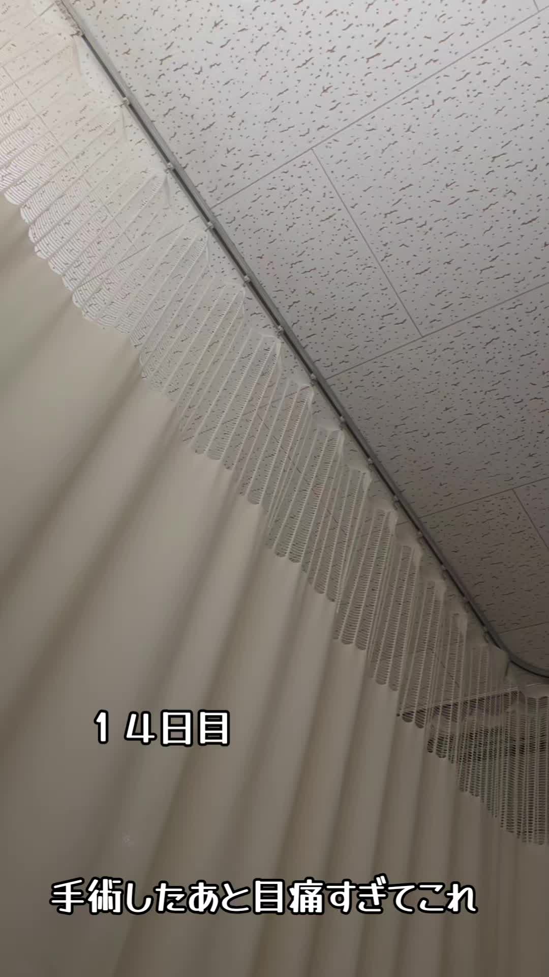 @seji