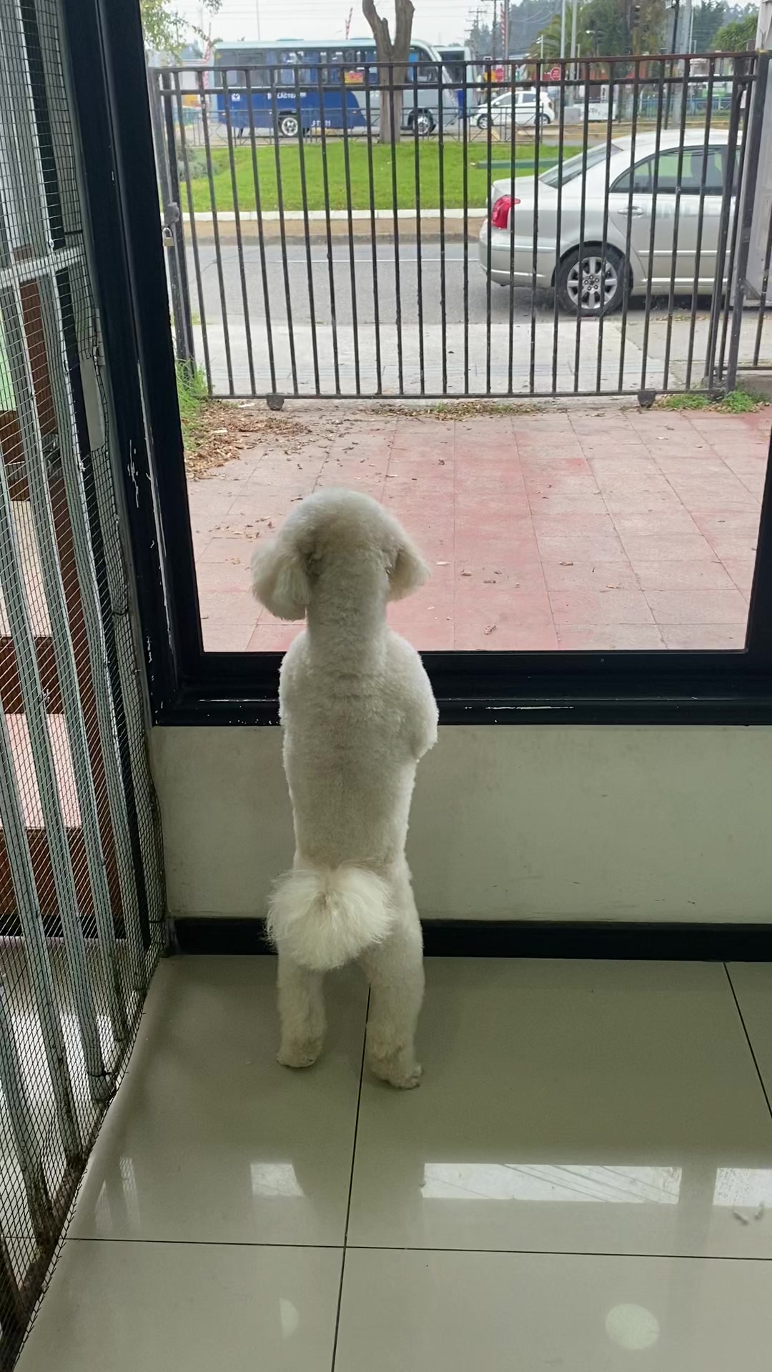 @Gran.kniche🐶
