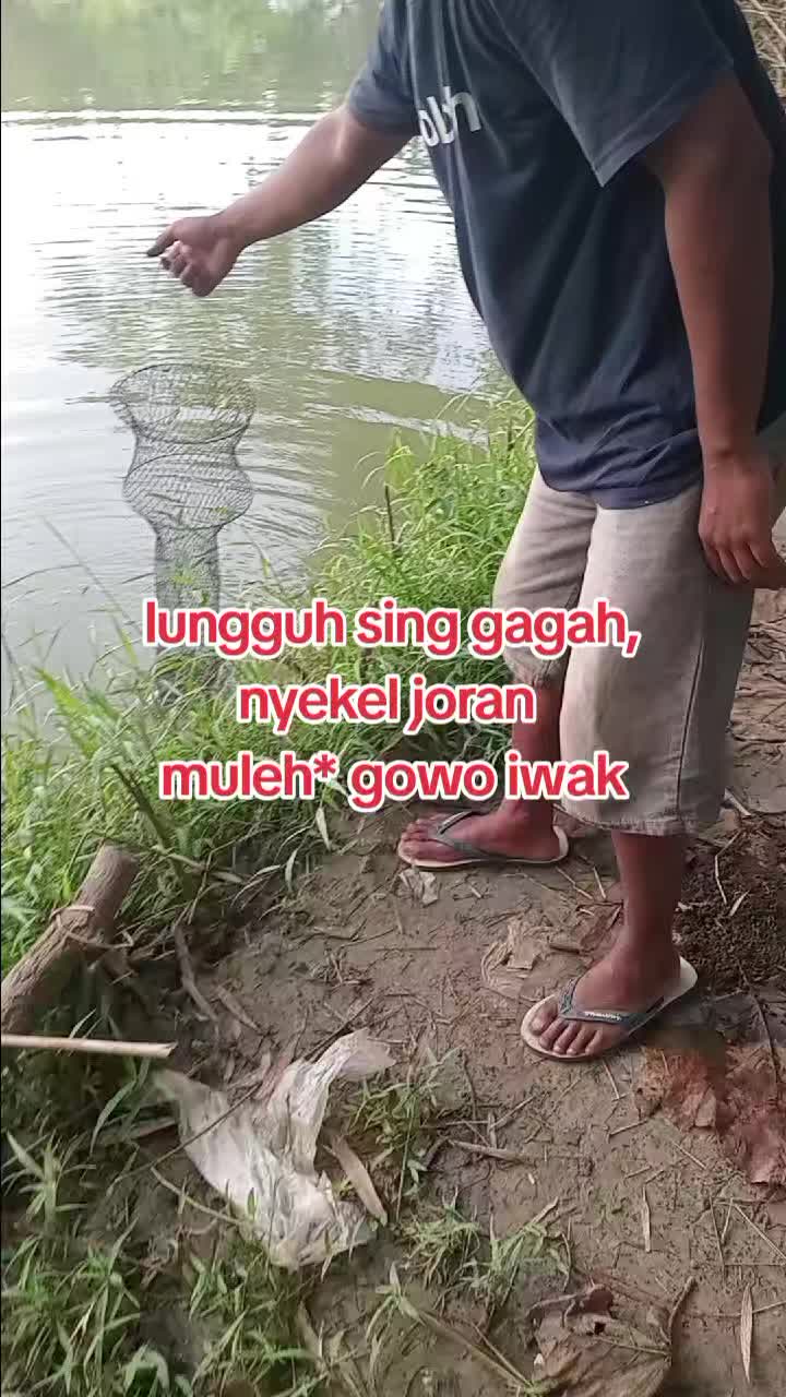 @indoxx