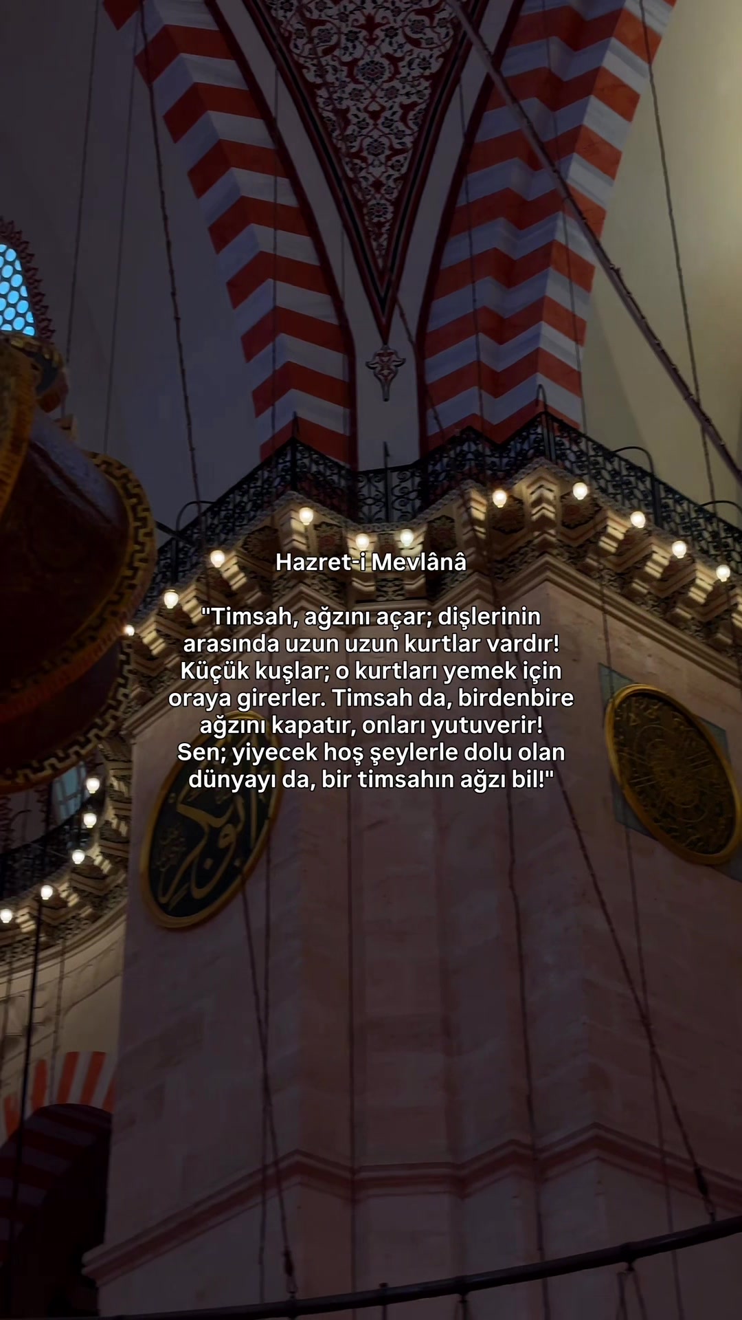 @Şabir