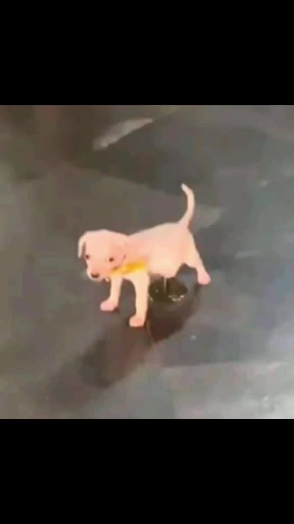 @&ntilde;