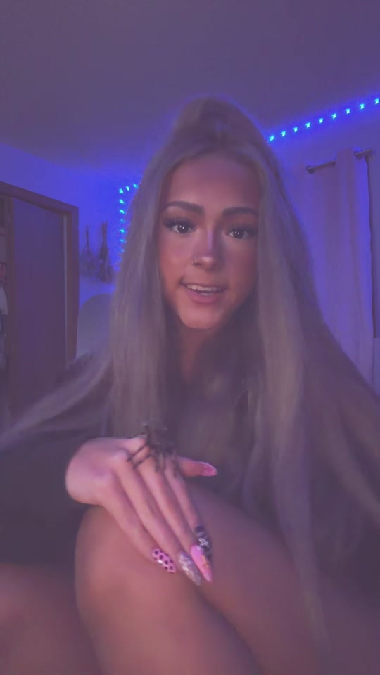 @basicblondeorangebitch
