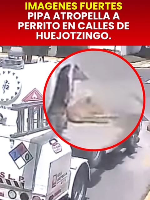 @elojopoblano