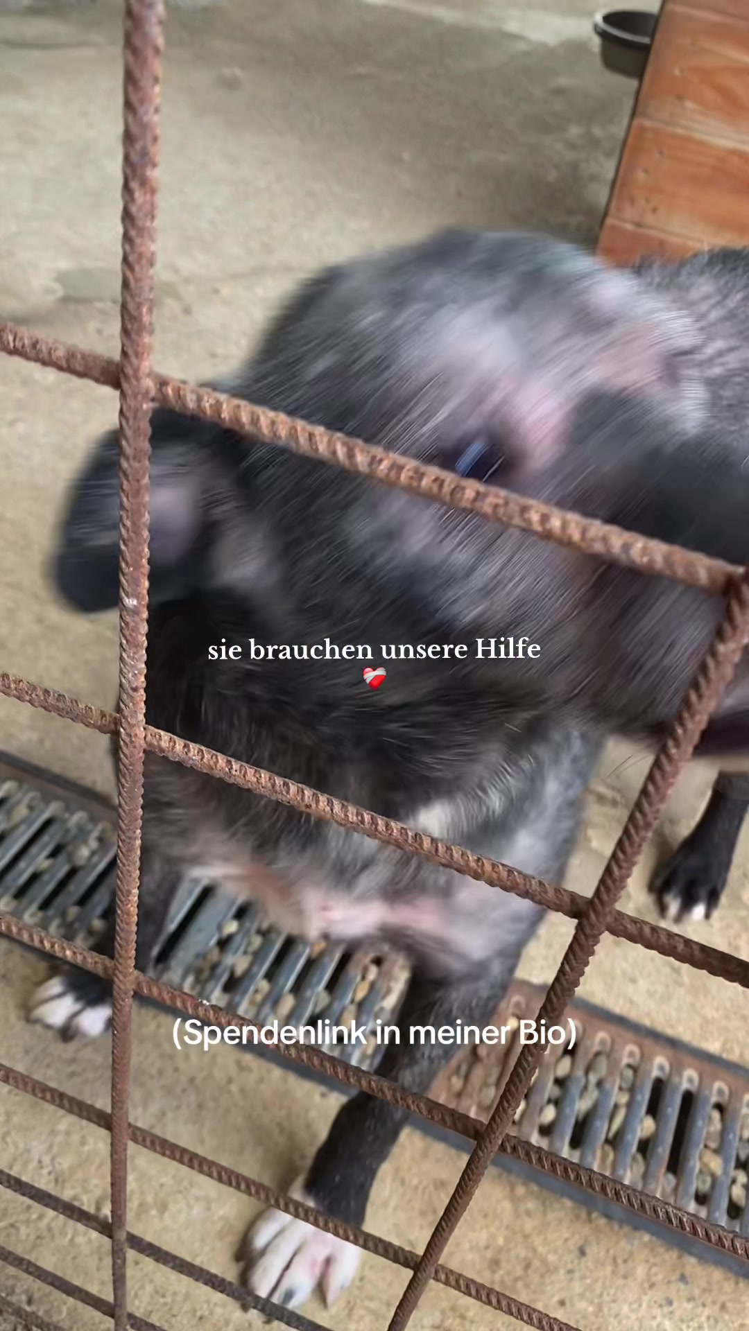 @bundeskanzlerin306