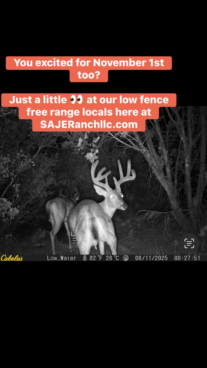 @SAJERanch