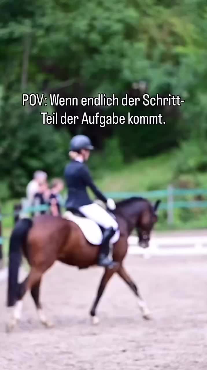 @ne.horses