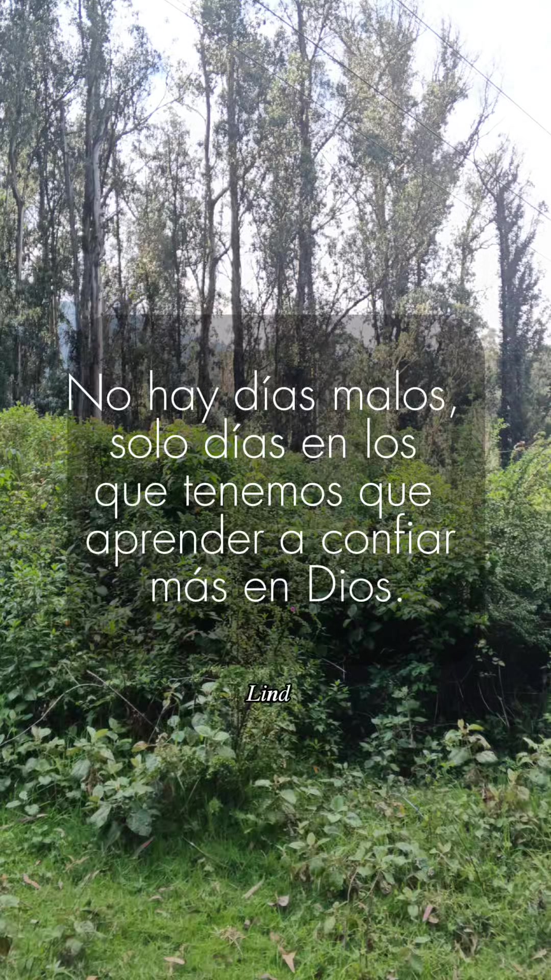 @Marco Guerrero