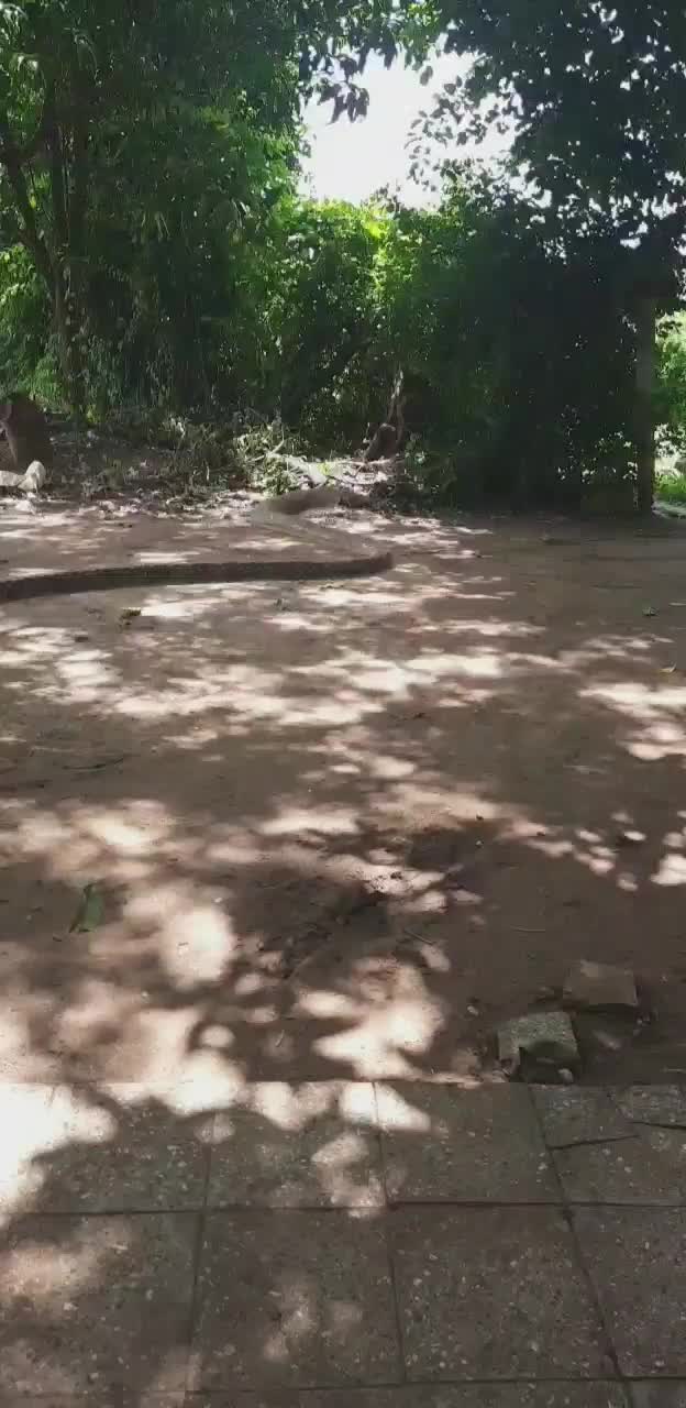 @Hiteshnadiadi
