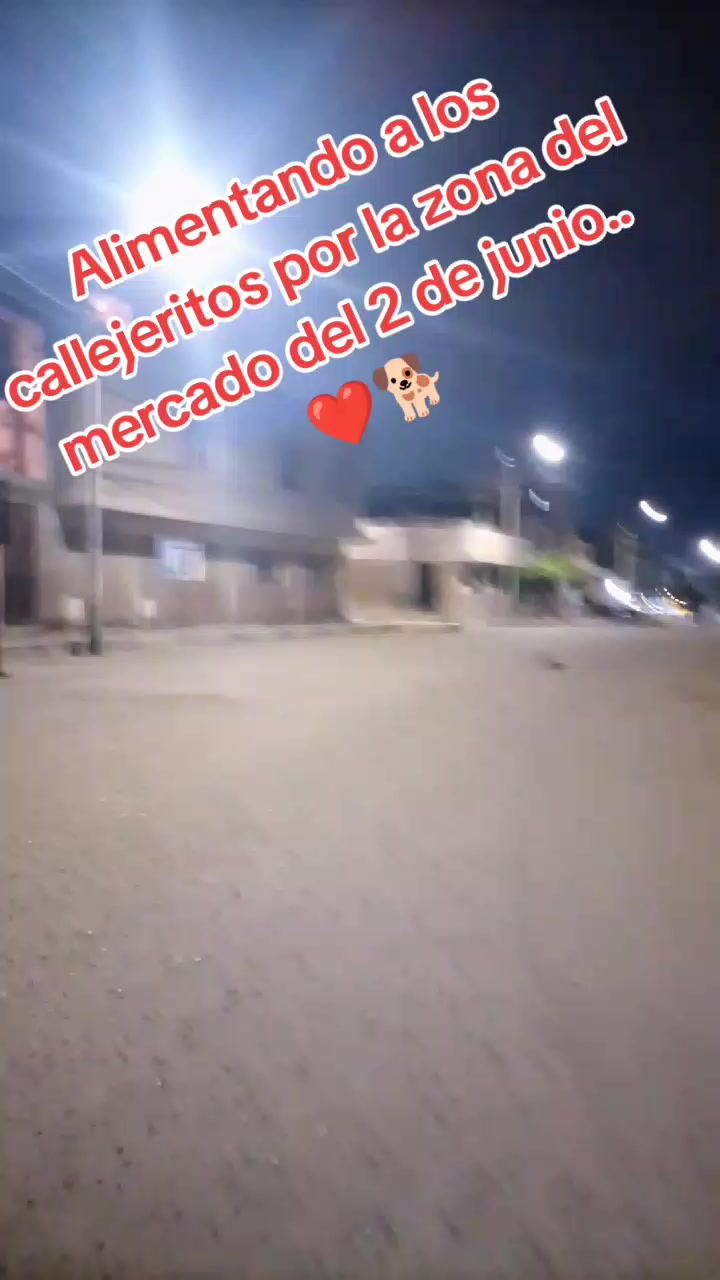 @🌷 Sarita y los callejeritos