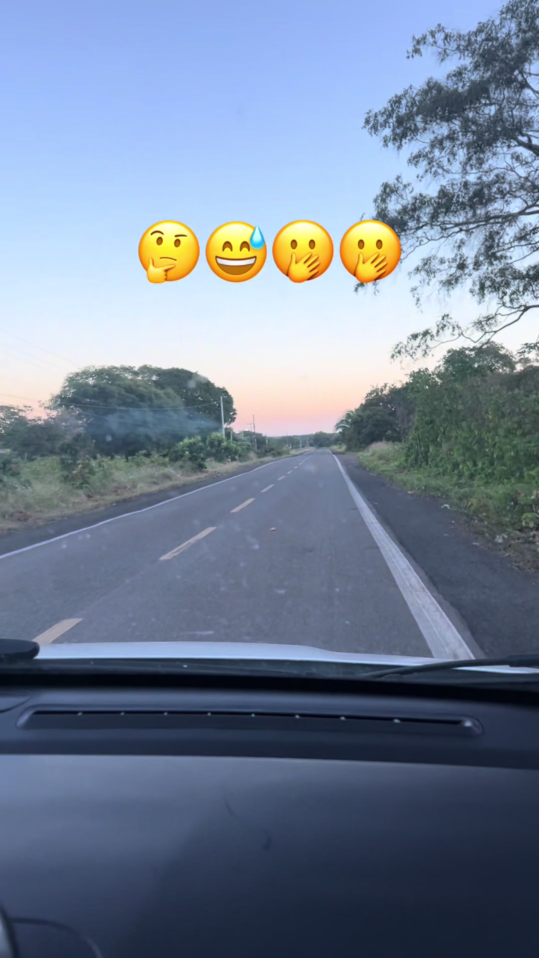 @socorroalves719