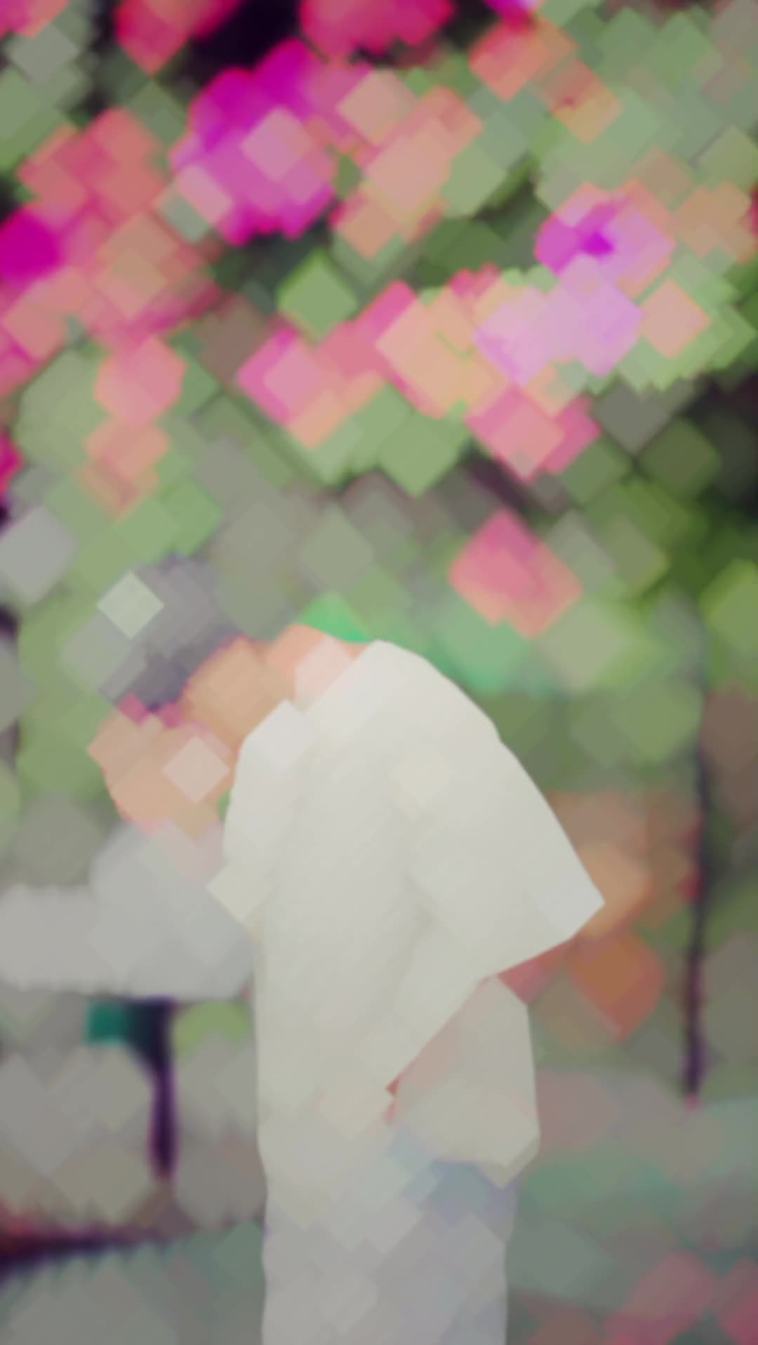 @๐ ๐๐ง๐๐จ โผ๏ธ ๐ฑ ๐ป ๐ผ๐