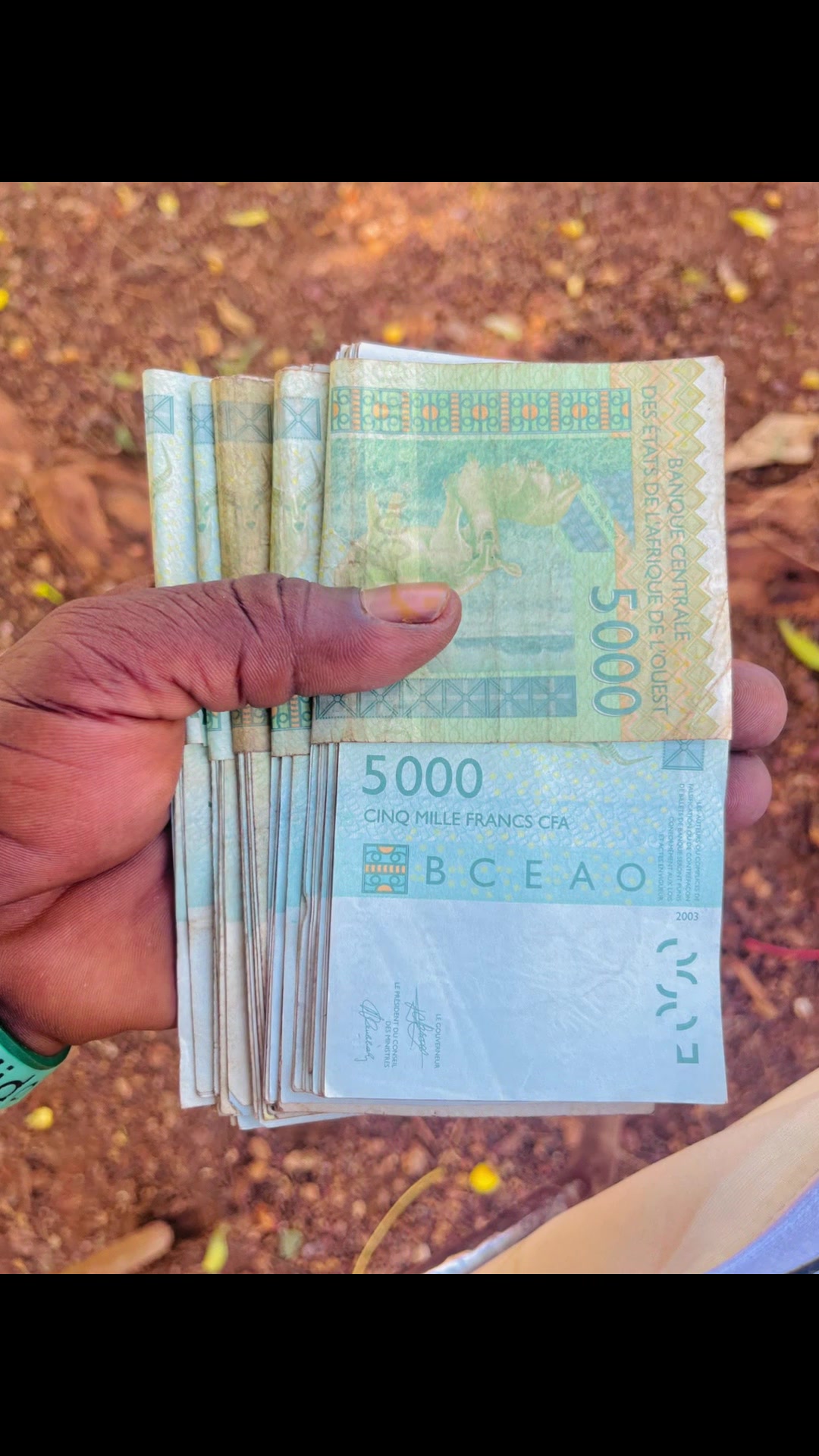 @🔥 papa naBelle vie officiel45
