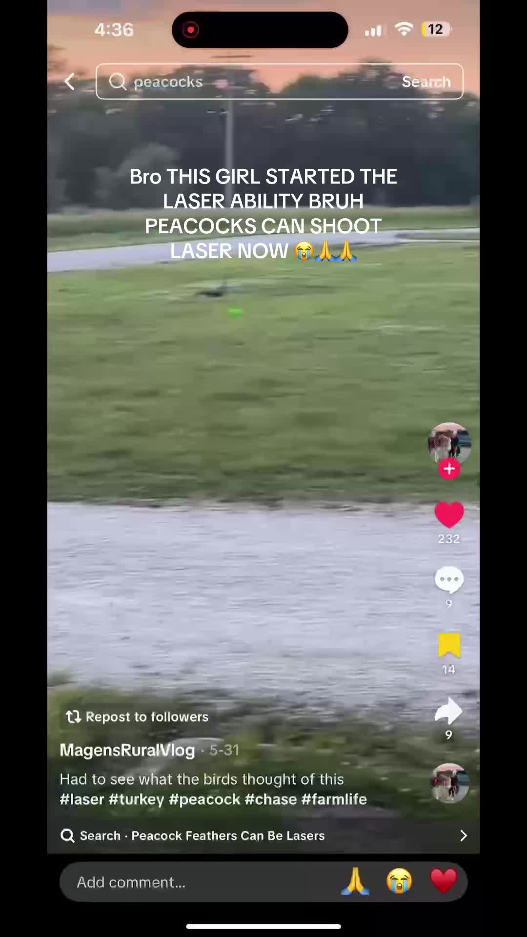 @𝗞𝗜𝗧_ℂℝ𝔼𝕎