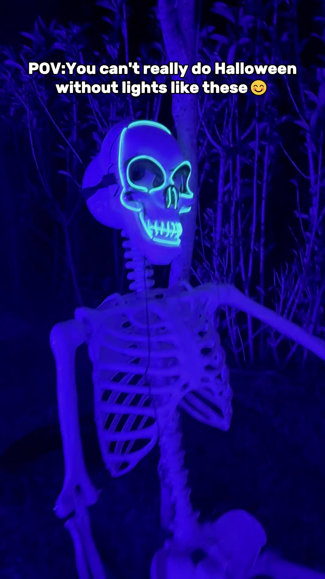 @Shayne Glow