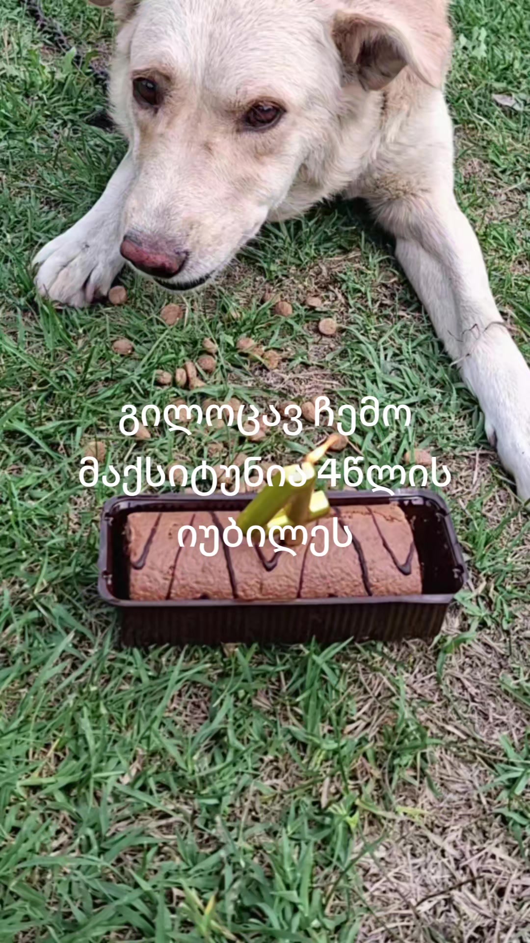 @მაკო