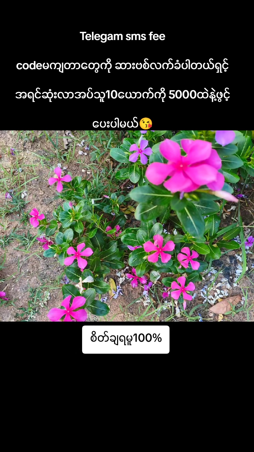 @Mayđ«