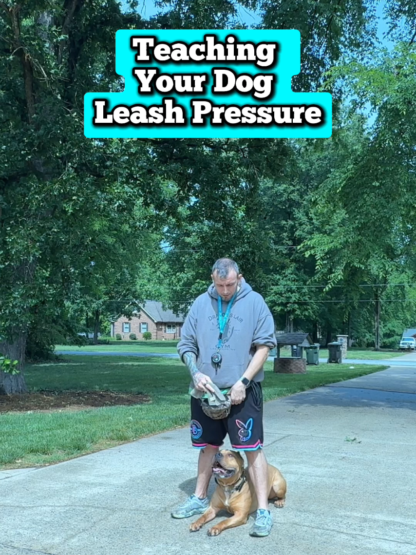 @Lost Boys K9 Academy