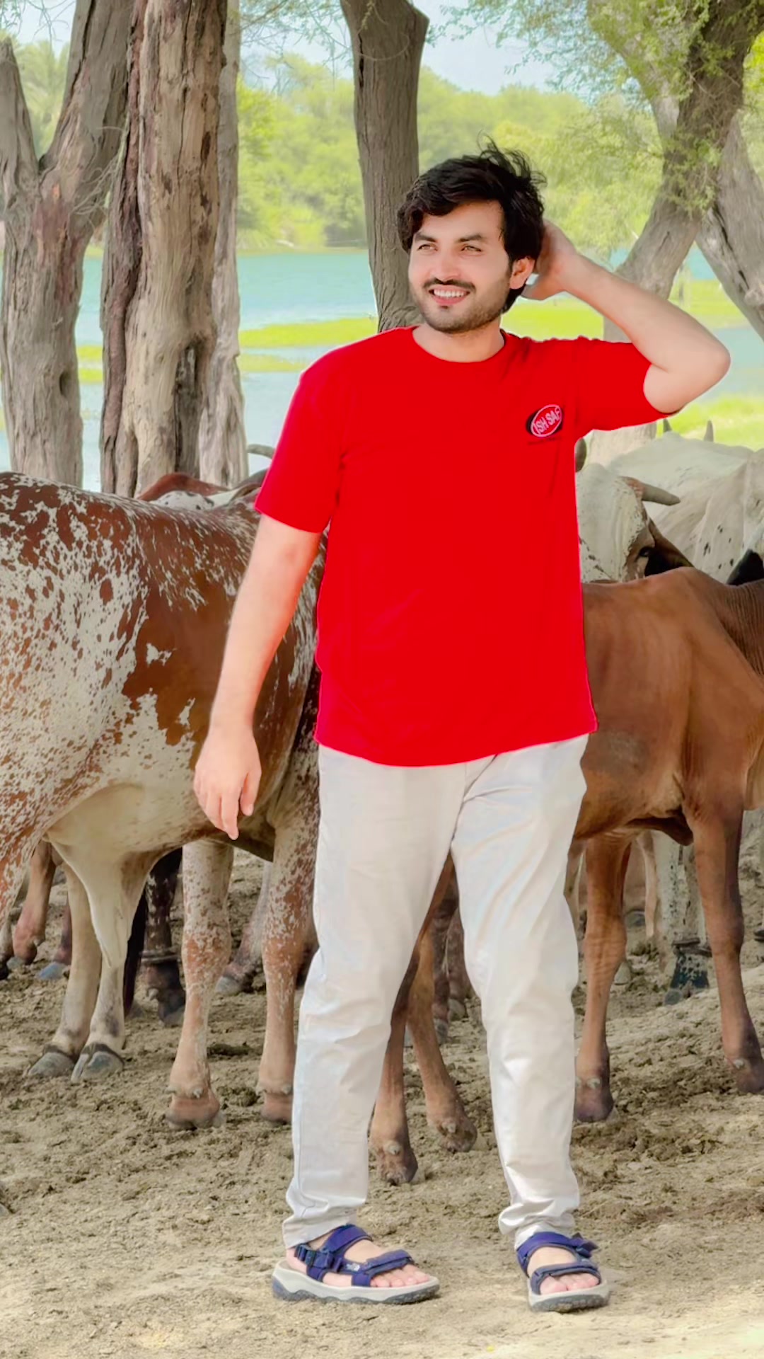 @M Taimoor