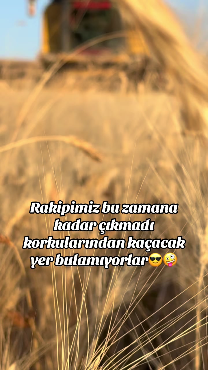 @Mahmut AĞDOĞAN27