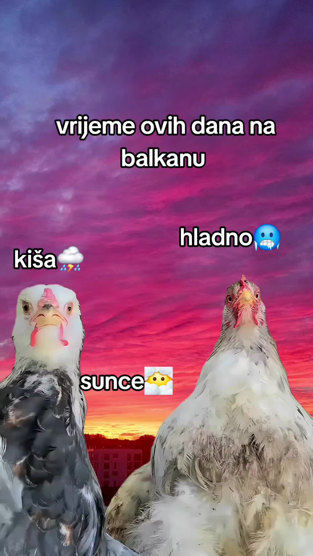 @Tina★