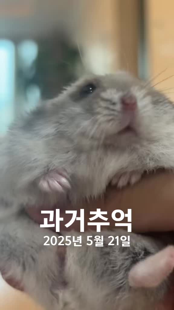 @𝒆𝒍𝒍𝒂✨