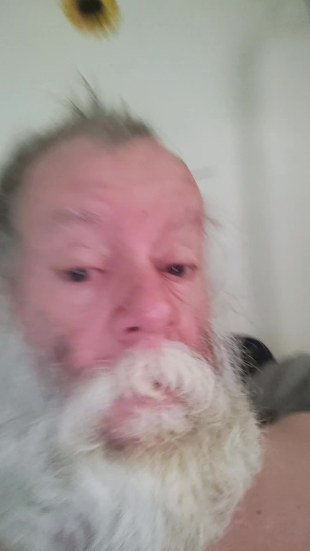 @Jerry Mayenschein