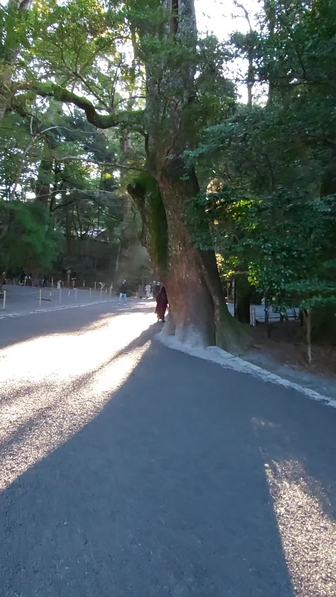 @竜一
