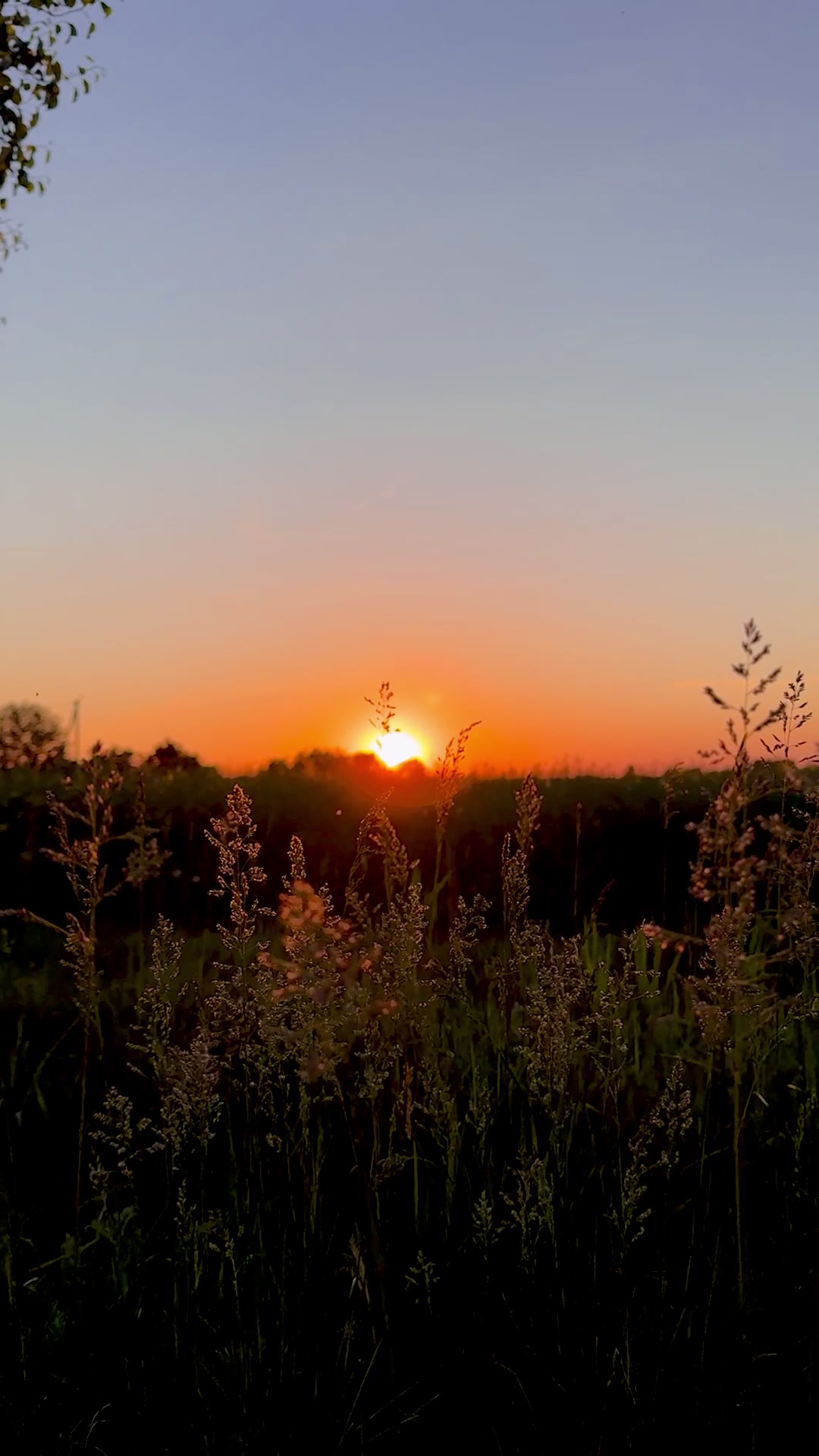 @𝓔𝓲𝓻𝓮𝓷