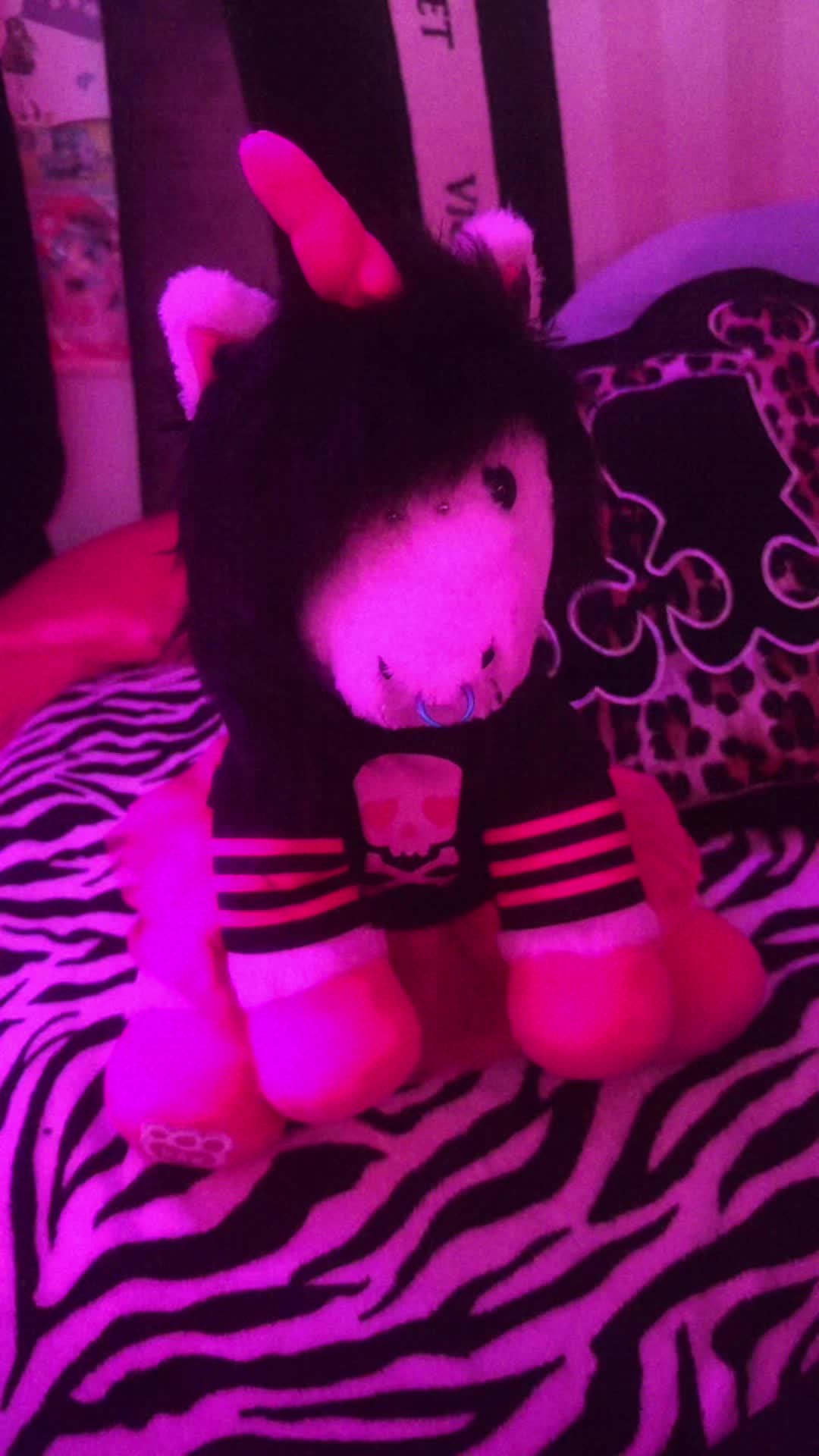 @🐼🦓Serenade Soph🦓🐼